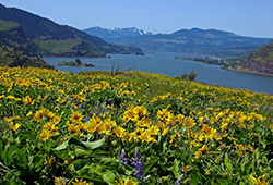 Ed Caswell’s Bequest Strengthens Friends of the Columbia Gorge Land Trust